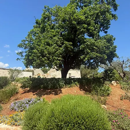 Exclusive Trullo With Pool Semesterbostad
