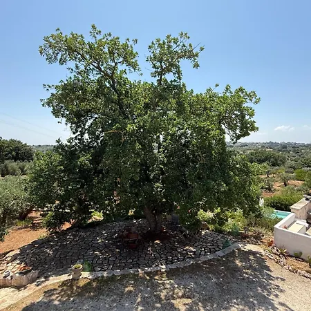 בית נופש Exclusive Trullo With Pool *
