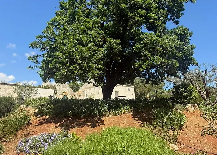 Exclusive Trullo With Pool Casa vacanze