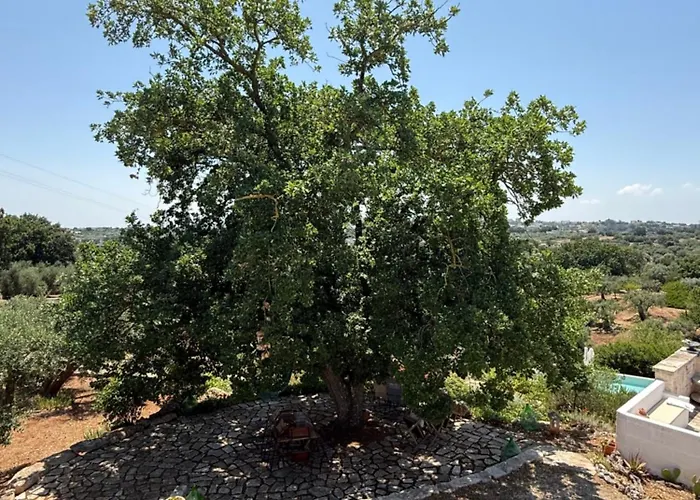 Casa vacanze Exclusive Trullo With Pool *
